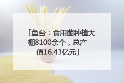 鱼台：食用菌种植大棚8100余个，总产值16.43亿元