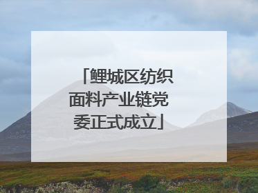 鲤城区纺织面料产业链党委正式成立