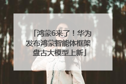 鸿蒙6来了！华为发布鸿蒙智能体框架 盘古大模型上新