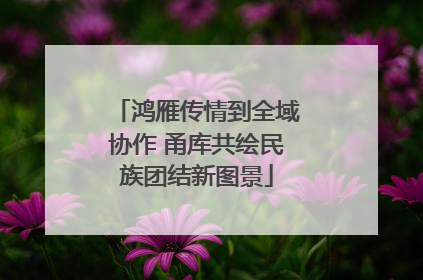 鸿雁传情到全域协作 甬库共绘民族团结新图景