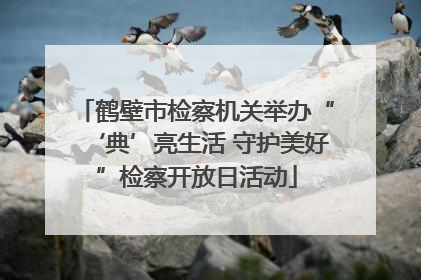 鹤壁市检察机关举办“‘典’亮生活 守护美好”检察开放日活动