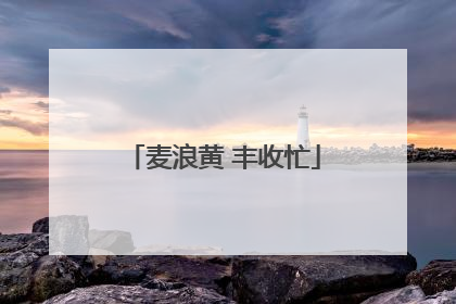 麦浪黄 丰收忙