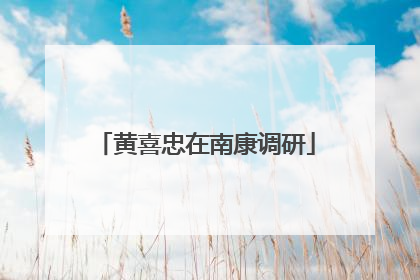 黄喜忠在南康调研