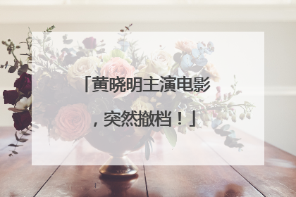 黄晓明主演电影，突然撤档！