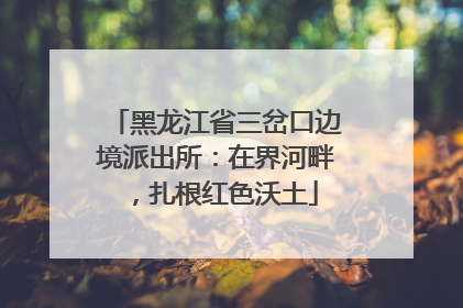 黑龙江省三岔口边境派出所：在界河畔，扎根红色沃土