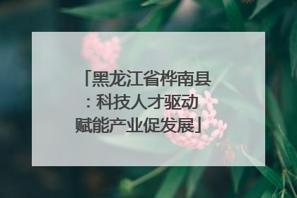 黑龙江省桦南县：科技人才驱动 赋能产业促发展