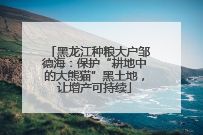 黑龙江种粮大户邹德海：保护“耕地中的大熊猫”黑土地，让增产可持续
