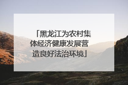 黑龙江为农村集体经济健康发展营造良好法治环境