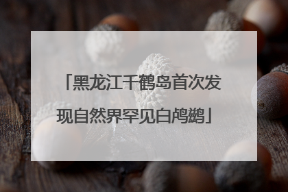 黑龙江千鹤岛首次发现自然界罕见白鸬鹚