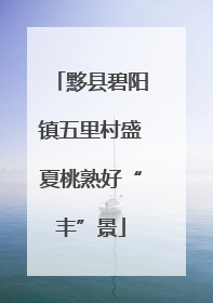 黟县碧阳镇五里村盛夏桃熟好“丰”景