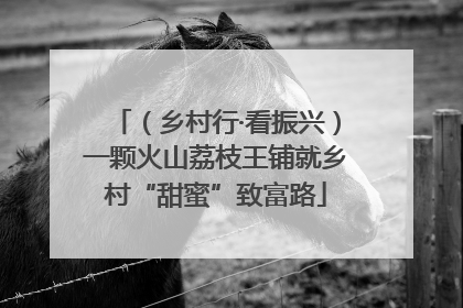 （乡村行·看振兴）一颗火山荔枝王铺就乡村“甜蜜”致富路