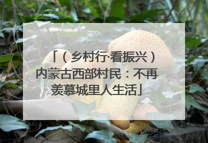 （乡村行·看振兴）内蒙古西部村民：不再羡慕城里人生活