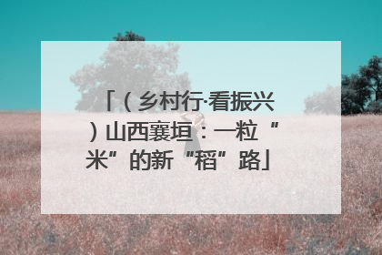 （乡村行·看振兴）山西襄垣：一粒“米”的新“稻”路
