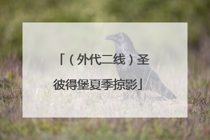（外代二线）圣彼得堡夏季掠影