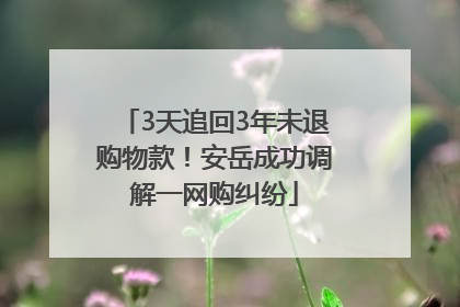 3天追回3年未退购物款！安岳成功调解一网购纠纷