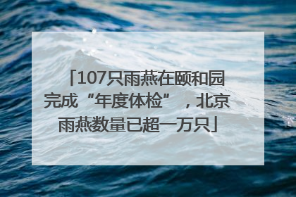 107只雨燕在颐和园完成“年度体检”，北京雨燕数量已超一万只