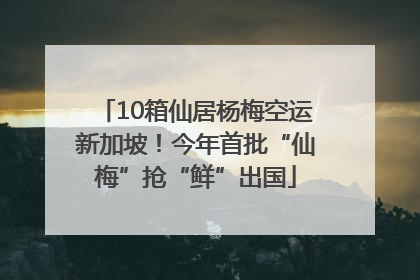 10箱仙居杨梅空运新加坡！今年首批“仙梅”抢“鲜”出国