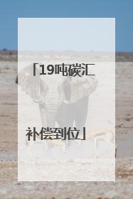 19吨碳汇补偿到位