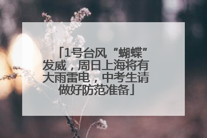1号台风“蝴蝶”发威，周日上海将有大雨雷电，中考生请做好防范准备