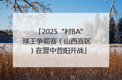 2025“村BA”球王争霸赛（山西赛区）在晋中昔阳开战