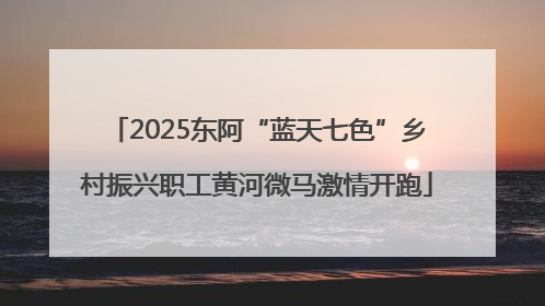 2025东阿“蓝天七色”乡村振兴职工黄河微马激情开跑