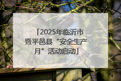 2025年临沂市暨平邑县“安全生产月”活动启动