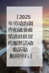 2025年劳动力调查和就业政策进社区宣传服务活动·临沂站 顺利举行