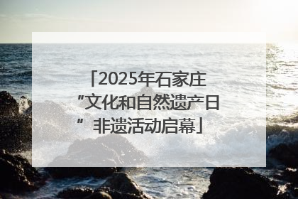 2025年石家庄“文化和自然遗产日”非遗活动启幕