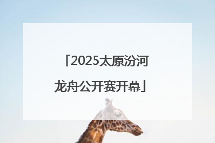 2025太原汾河龙舟公开赛开幕