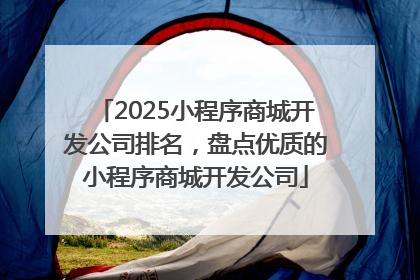 2025小程序商城开发公司排名，盘点优质的小程序商城开发公司