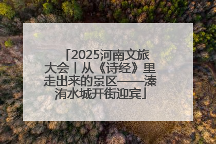 2025河南文旅大会丨从《诗经》里走出来的景区——溱洧水城开街迎宾