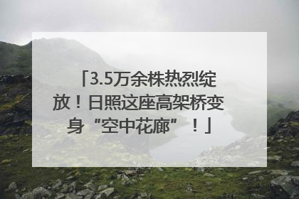 3.5万余株热烈绽放！日照这座高架桥变身“空中花廊”！