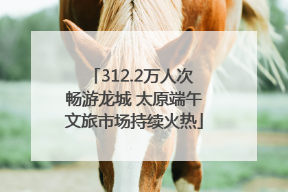 312.2万人次畅游龙城 太原端午文旅市场持续火热