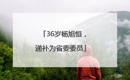 36岁杨旭恒，递补为省委委员