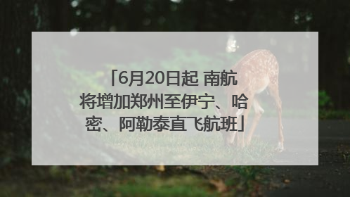 6月20日起 南航将增加郑州至伊宁、哈密、阿勒泰直飞航班