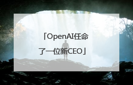OpenAI任命了一位新CEO