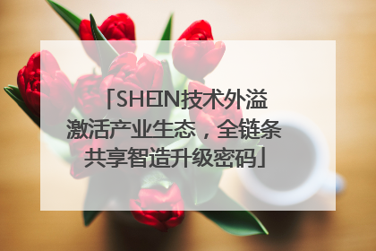 SHEIN技术外溢激活产业生态，全链条共享智造升级密码