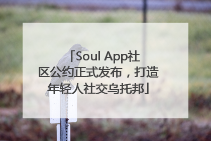 Soul App社区公约正式发布，打造年轻人社交乌托邦
