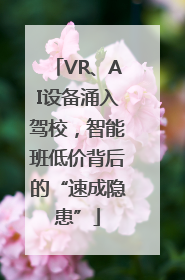 VR、AI设备涌入驾校，智能班低价背后的“速成隐患”